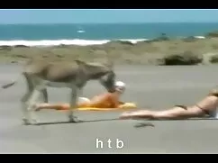 Tôi hy vọng anh có sẵn sàng cho phimxet phu de việc này rất lớn