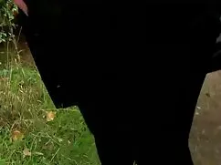 Cô sexy đồ chơi sex hd phụ đề